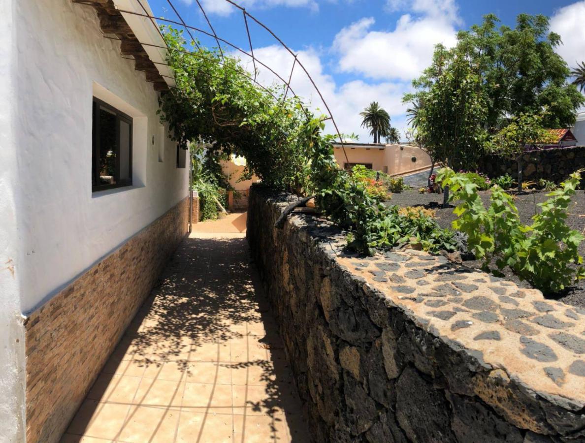 Casa Palmera Y Casa Datil アリア エクステリア 写真