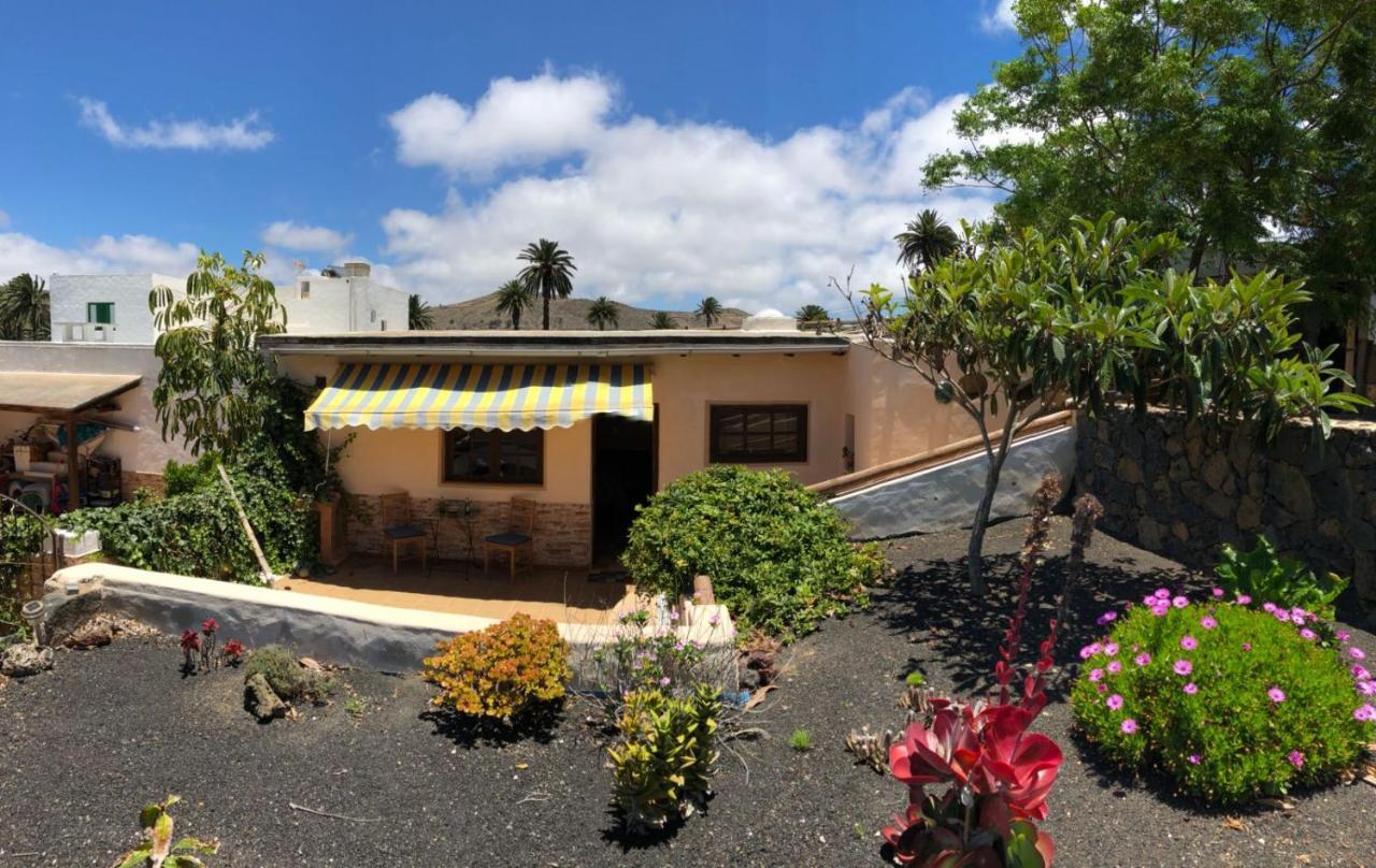 Casa Palmera Y Casa Datil アリア エクステリア 写真