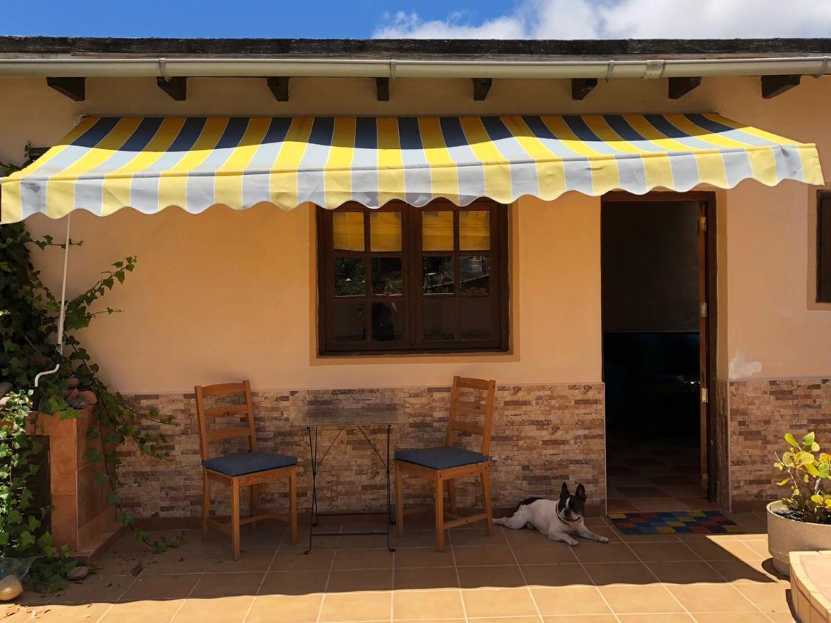 Casa Palmera Y Casa Datil アリア エクステリア 写真