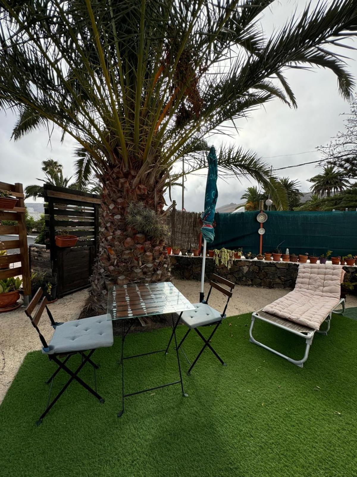 Casa Palmera Y Casa Datil アリア エクステリア 写真